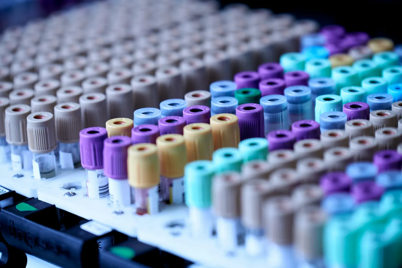 Rows of blood collection tubes with colored caps