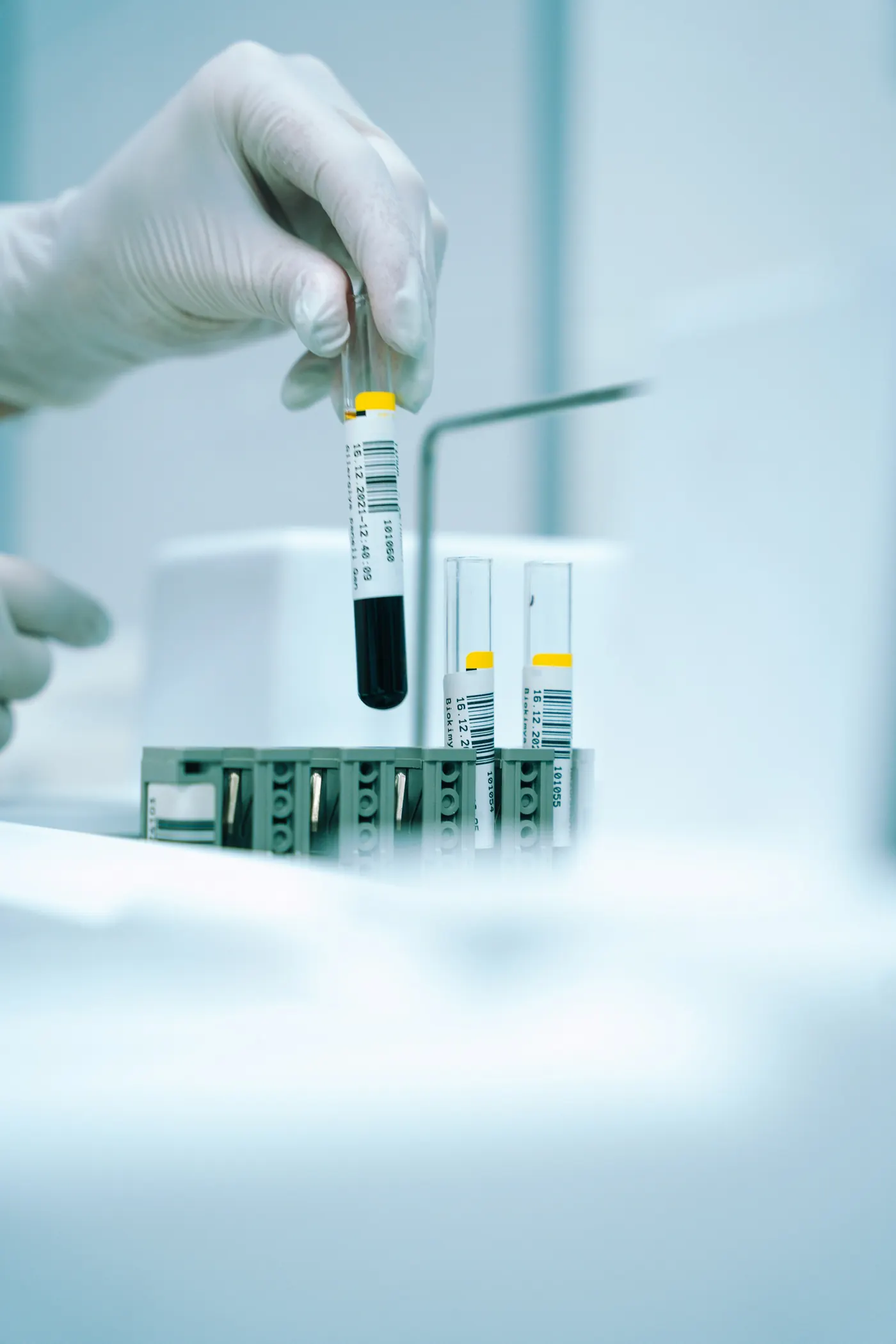 Gloved hand holding a lab specimen tube